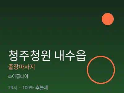 충북 청주시청원구 내수읍출장마사지
