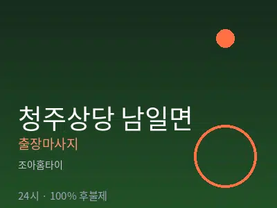 충북 청주시상당구 남일면출장마사지