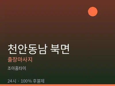 충남 천안시동남구 북면출장마사지