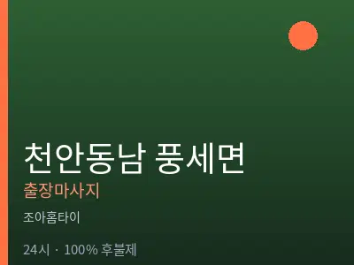 충남 천안시동남구 풍세면출장마사지