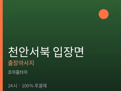 충남 천안시서북구 입장면출장마사지