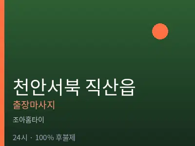 충남 천안시서북구 직산읍출장마사지