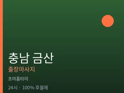 충남 금산출장마사지