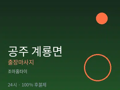 충남 공주시 계룡면출장마사지