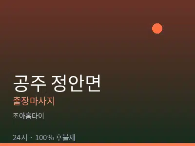 충남 공주시 정안면출장마사지