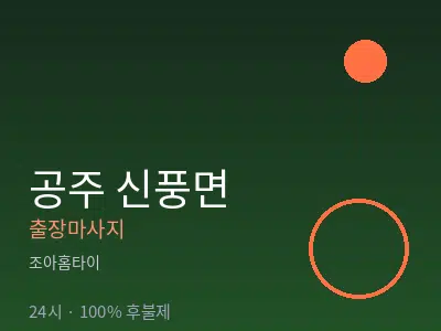 충남 공주시 신풍면출장마사지