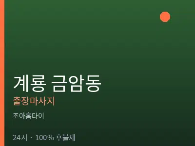충남 계룡시 금암동출장마사지