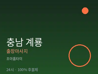 충남 계룡출장마사지
