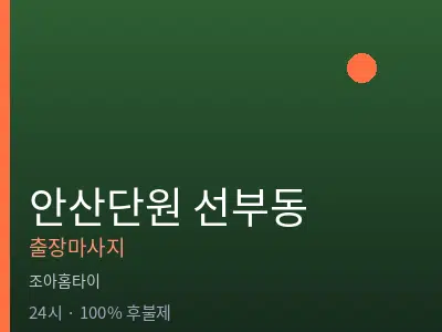 경기 안산시단원구 선부동출장마사지