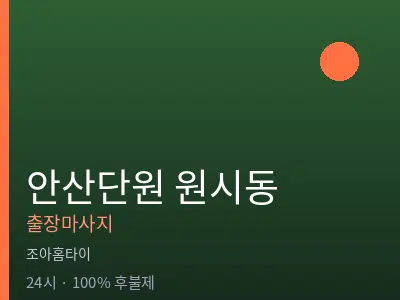 경기 안산시단원구 원시동출장마사지