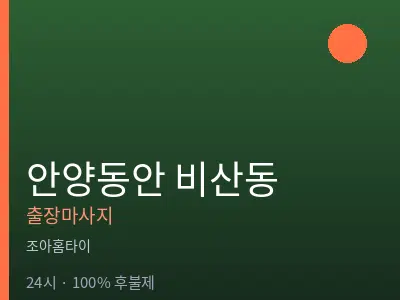 경기 안양시동안구 비산동출장마사지