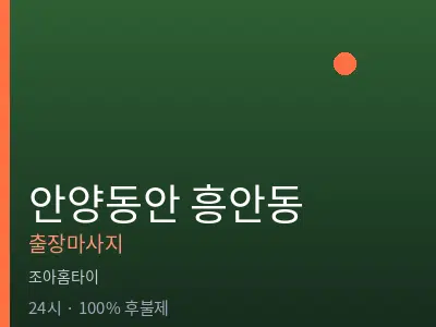 경기 안양시동안구 흥안동출장마사지