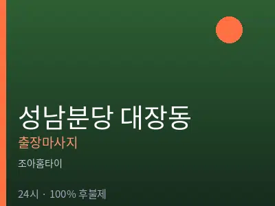 경기 성남시분당구 대장동출장마사지