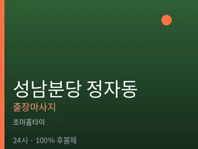 경기 성남시분당구 정자동출장마사지