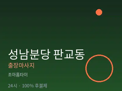 경기 성남시분당구 판교동출장마사지