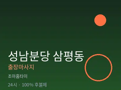 경기 성남시분당구 삼평동출장마사지