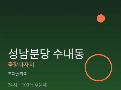 경기 성남시분당구 수내동출장마사지