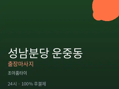 경기 성남시분당구 운중동출장마사지