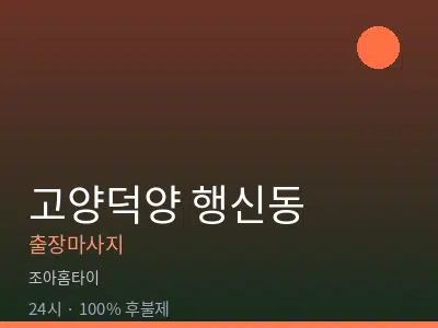 경기 고양시덕양구 행신동출장마사지