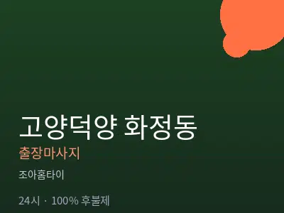 경기 고양시덕양구 화정동출장마사지