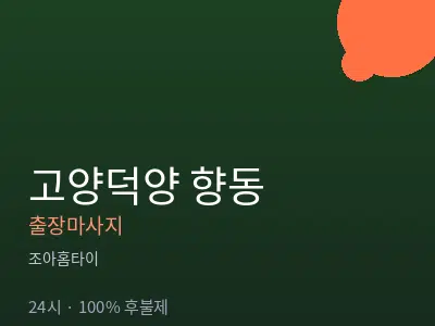 경기 고양시덕양구 향동출장마사지