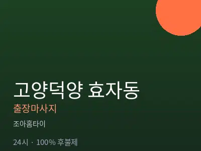 경기 고양시덕양구 효자동출장마사지