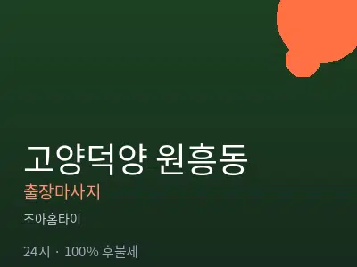 경기 고양시덕양구 원흥동출장마사지
