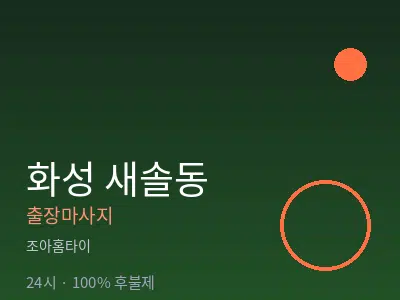 경기 화성시 새솔동출장마사지