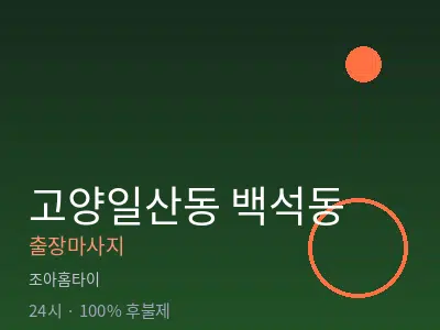 경기 고양시일산동구 백석동출장마사지
