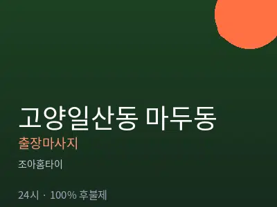 경기 고양시일산동구 마두동출장마사지