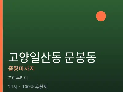 경기 고양시일산동구 문봉동출장마사지