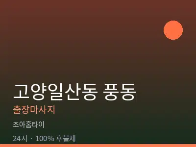 경기 고양시일산동구 풍동출장마사지