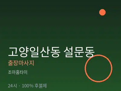 경기 고양시일산동구 설문동출장마사지