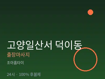 경기 고양시일산서구 덕이동출장마사지