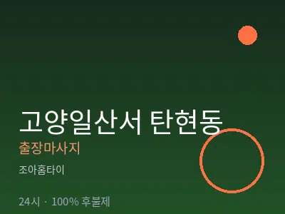 경기 고양시일산서구 탄현동출장마사지