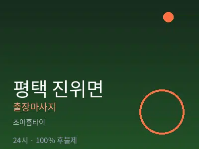 경기 평택시 진위면출장마사지