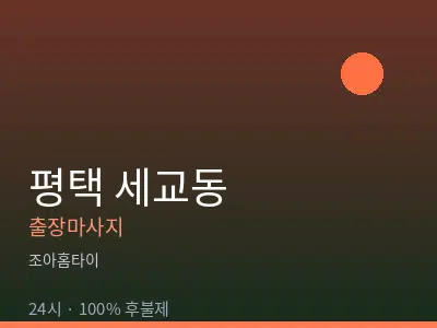 경기 평택시 세교동출장마사지
