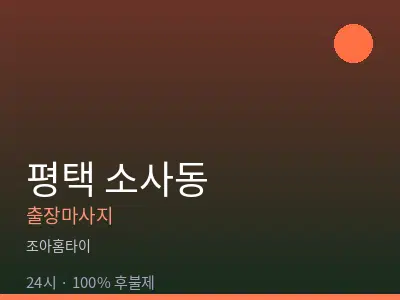 경기 평택시 소사동출장마사지