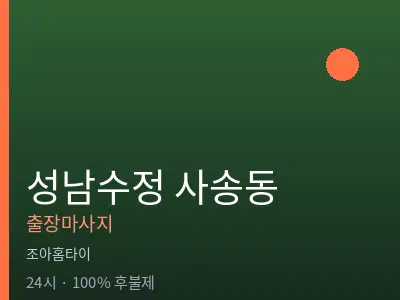 경기 성남시수정구 사송동출장마사지