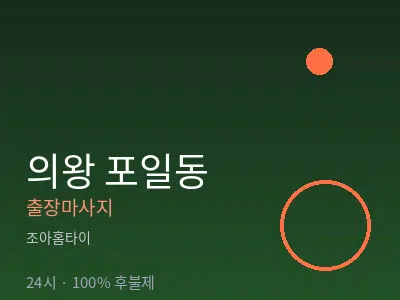 경기 의왕시 포일동출장마사지