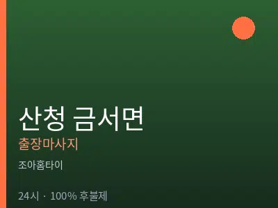 경남 산청군 금서면출장마사지