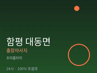 전남 함평군 대동면출장마사지