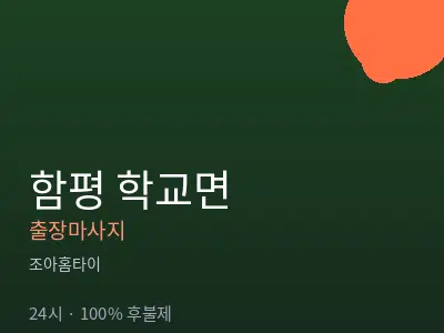 전남 함평군 학교면출장마사지