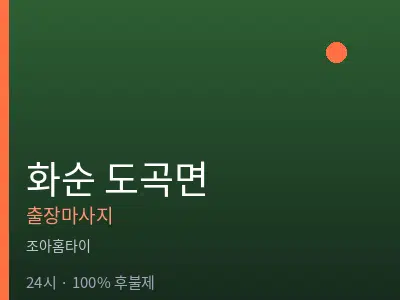 전남 화순군 도곡면출장마사지