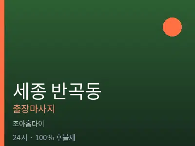 세종 세종시 반곡동출장마사지