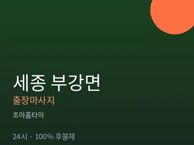 세종 세종시 부강면출장마사지