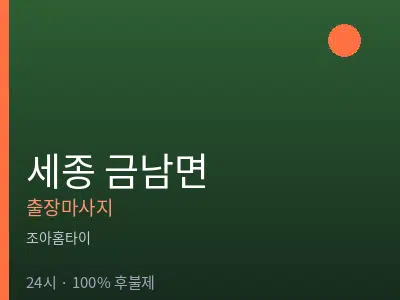 세종 세종시 금남면출장마사지