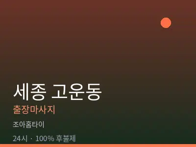 세종 세종시 고운동출장마사지