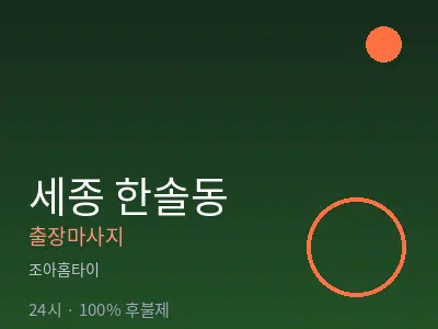 세종 세종시 한솔동출장마사지