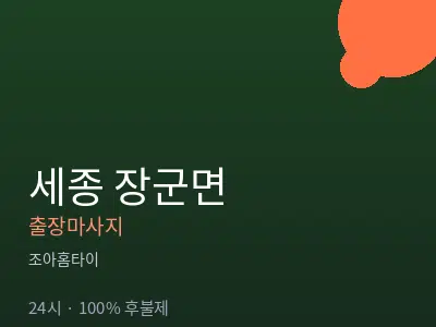 세종 세종시 장군면출장마사지
